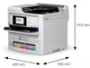 EPSON RIPS Workforce PRO EM-C800RDWF A4 34ppm PSC U-L-W Duplex DADF 1ΥW | axd.gr