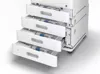 EPSON WorkForce Enterprise AM-C550 RIPS 55ppm A4 1YW | axd.gr